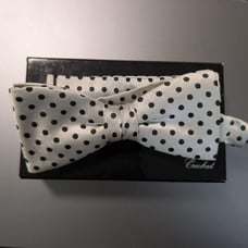 Dotted Bow Tie with Dedicated Box