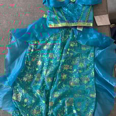 Disney Jasmine costume