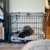 Dog Crate, 30 Inch Medium Double Door Dog Cage with Divider Panel and Pan