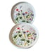 (4) Rachel Ashwell Farmhouse Spring Floral Dragonfly Melamine Salad Plates 8