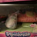 Squishville by squishmallows bundle