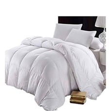 Charter club down comforter