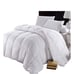 Charter club down comforter