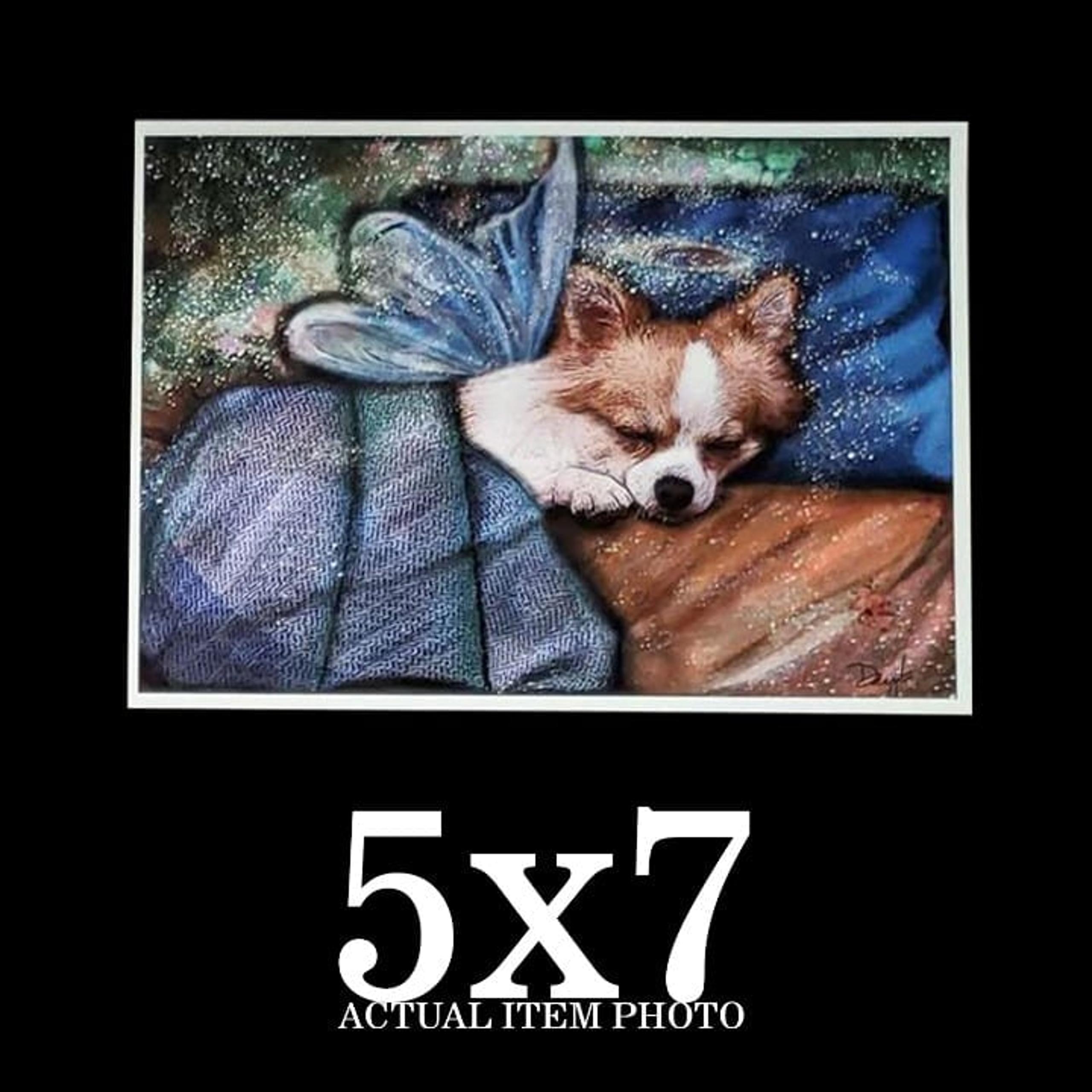 White Red Chihuahua Memorial Sympathy Tribute Sleeping Angel Wings Halo 5x7