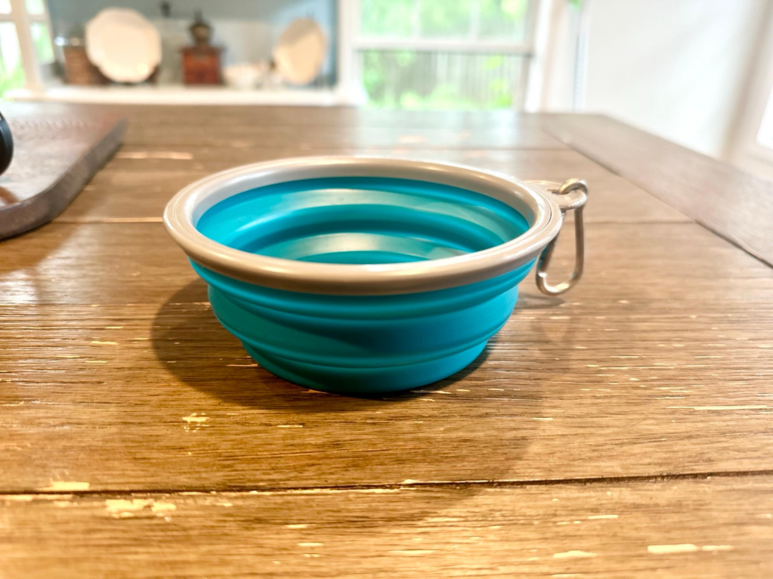 Collapsible Blue Silicone Pet Bowl
