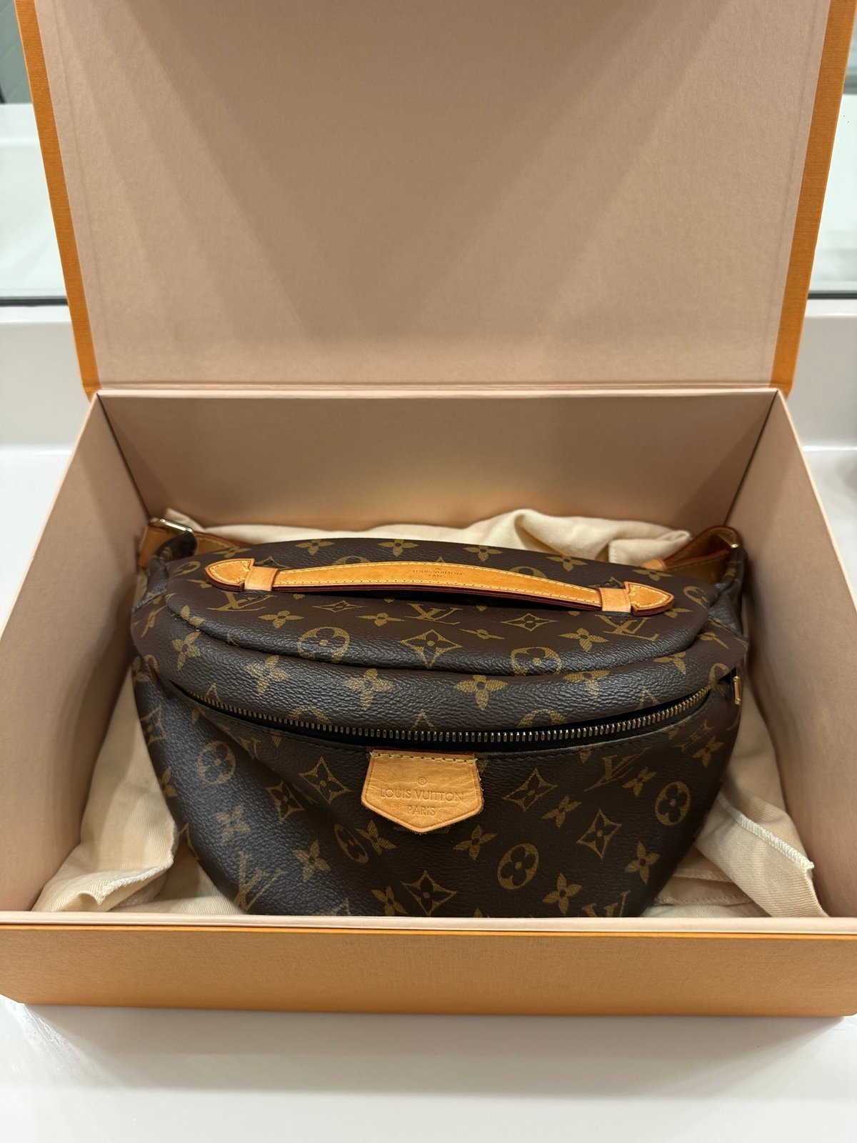 Louis Vuitton Bum Bag