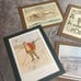 Vintage Golf Reprints bundle