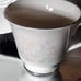 Lenox April Footed Cup & Saucer - 1980's Pastel Flowers with Platinum Rim