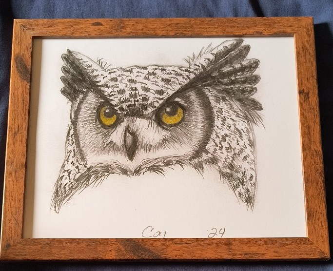 Owl drawing