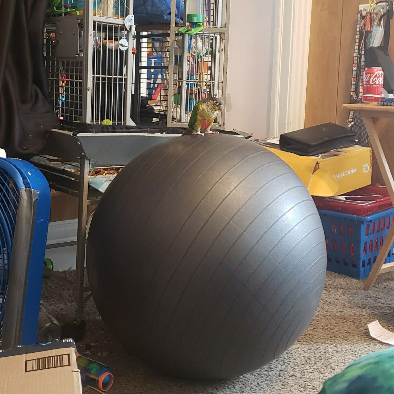 Exercise ball
