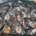 Isaac Mizrahi Live Women's Green Sude Leather Jacket 20 W NWT