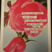 FLATT MAGAZINE 8 Lenny Kravitz Nick Cave Rose McGowan Jeff Koons 2014
