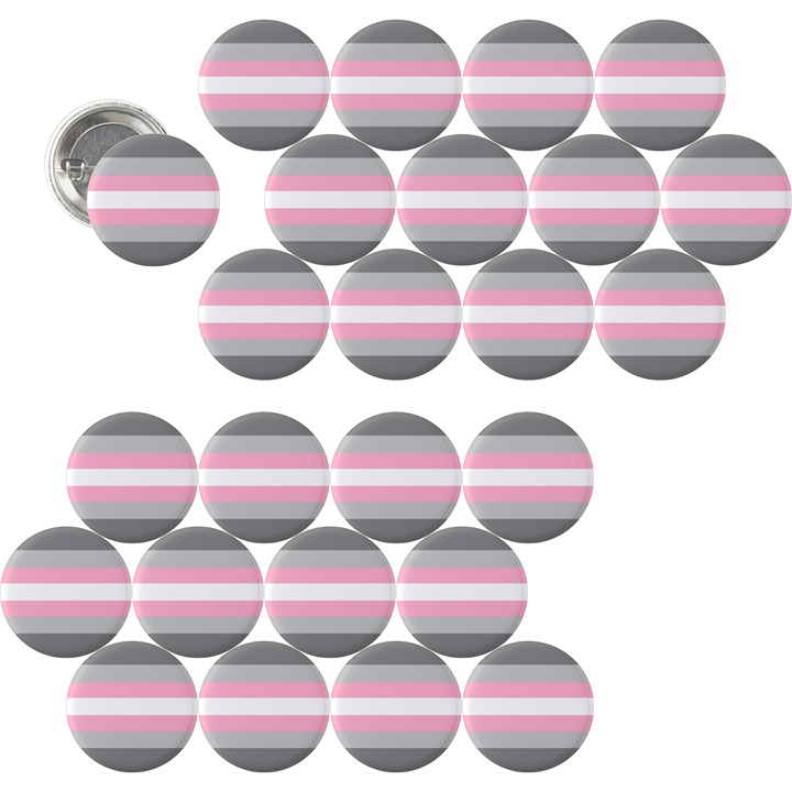 1.5” Set of x25 Demi Girl Pride Flag Pins