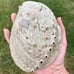 XL Deluxe Abalone Shell Smudge Burner