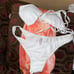 swimsuit bundle !!!!