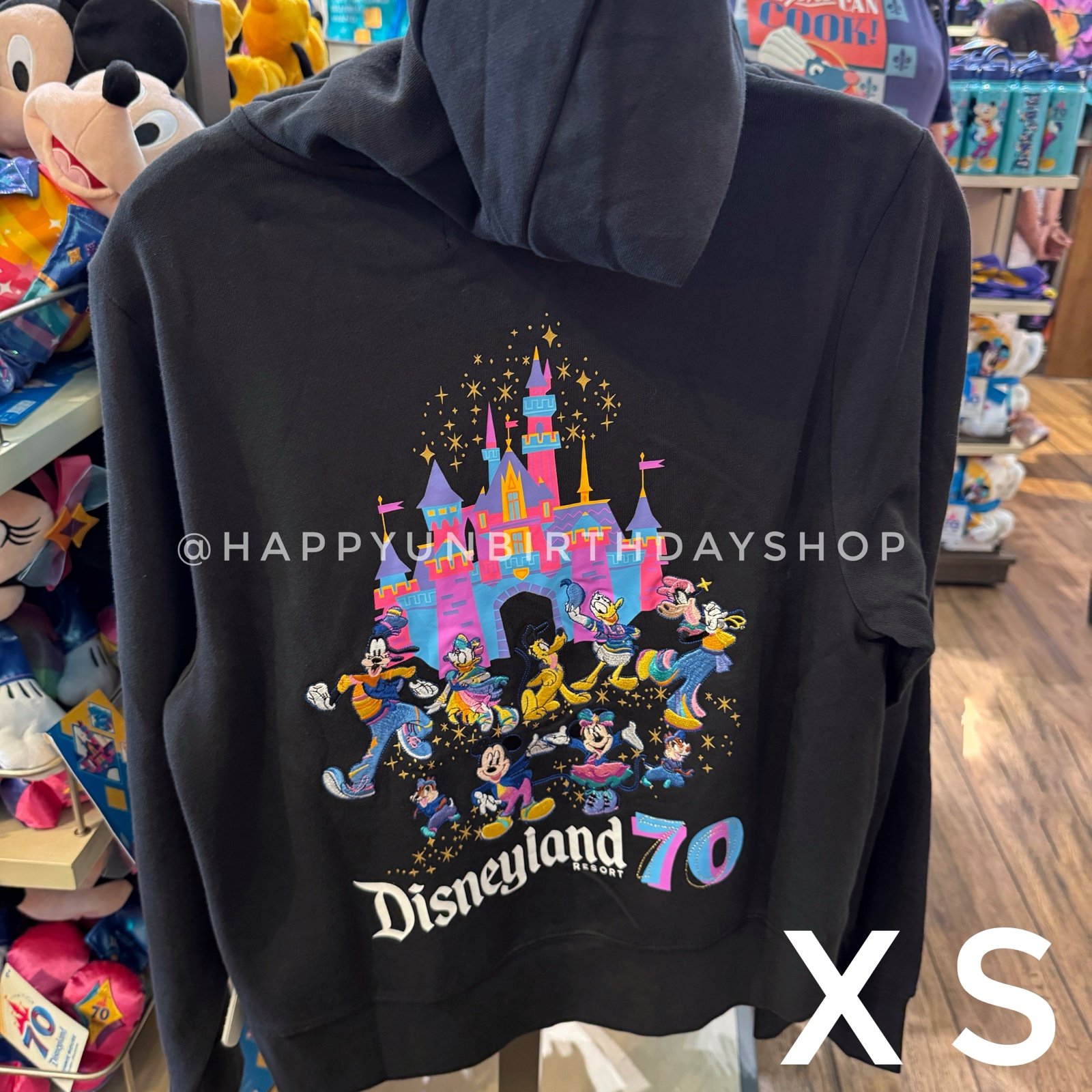 Disney Parks Disneyland 70th Anniversary Celebration Castle Zip Up Hoodie XS