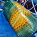 Brahmin Totes Shoulder Bag Handbag or Purse