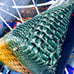 Brahmin Totes Shoulder Bag Handbag or Purse