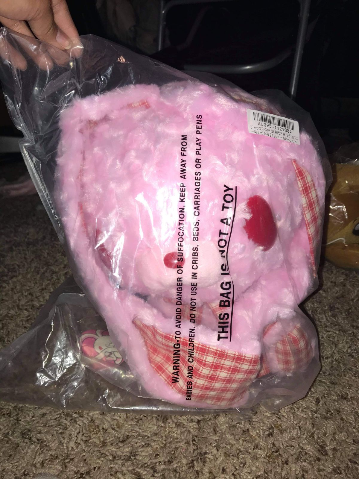 Chax bunny