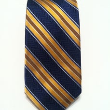 XMI PLATINUM TIE 3 1/4