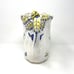 Spode Imperial Garden Pitcher/4 Cups Set Earthenware Collectable Pretty!