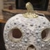 Gorgeous Pearl Detail Sugar Skull-NWT
