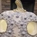 Gorgeous Pearl Detail Sugar Skull-NWT