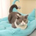 Cats Moon Curved Shaped Soft Cat Sleeping Cushion Bed With Pillow