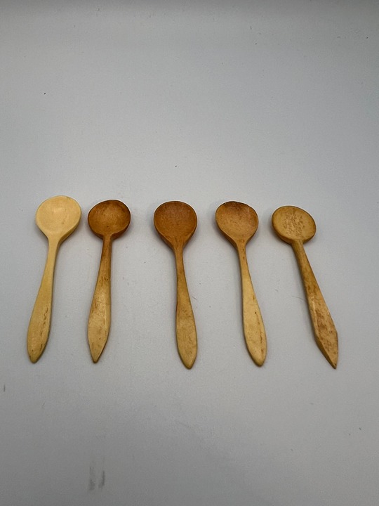 5 Bone Salt Cellar Spoons