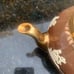 VINTAGE ANTIQUE ENGLAND GIBSON TEAPOT