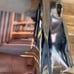 2007-2013 Silverado Drive Side Rear Chrome Bumper Piece
