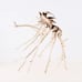 Manzanita 17 Branch, Aquascape Driftwood, Aquarium Wood Arch, Fish Tank Decor,