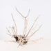 Manzanita 17 Branch, Aquascape Driftwood, Aquarium Wood Arch, Fish Tank Decor,