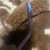 Prada Corrective Lens Frames