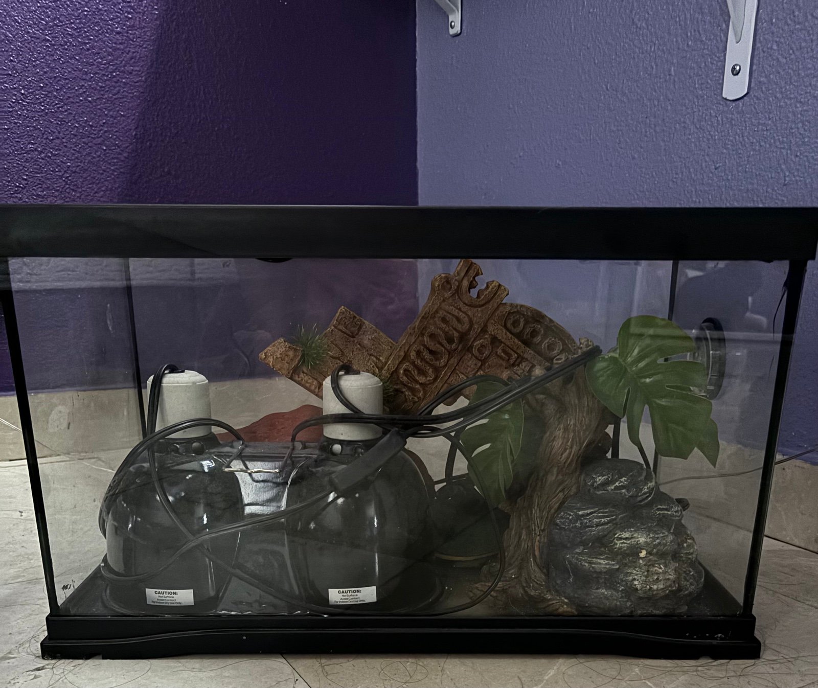 Animal tank
