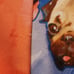 Blackmilk Lora Zombie Pugs and Skulls Short Overalls READ DESCRIPTION