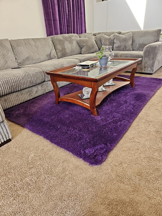 Fluffy Shag Bedroom Rug, 4x6 Feet Purple Area Rugs for Living Room Nursery