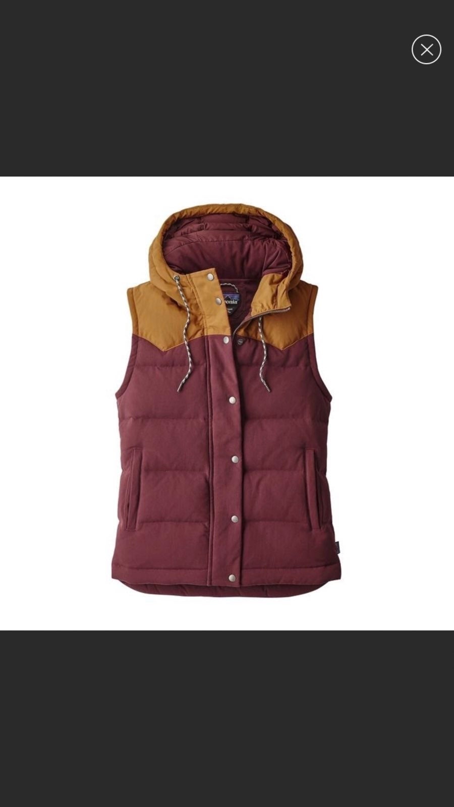 Patagonia hooded bivy down vest