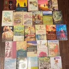 Lot Of 27 Random Hardcover, Paperback Books L2