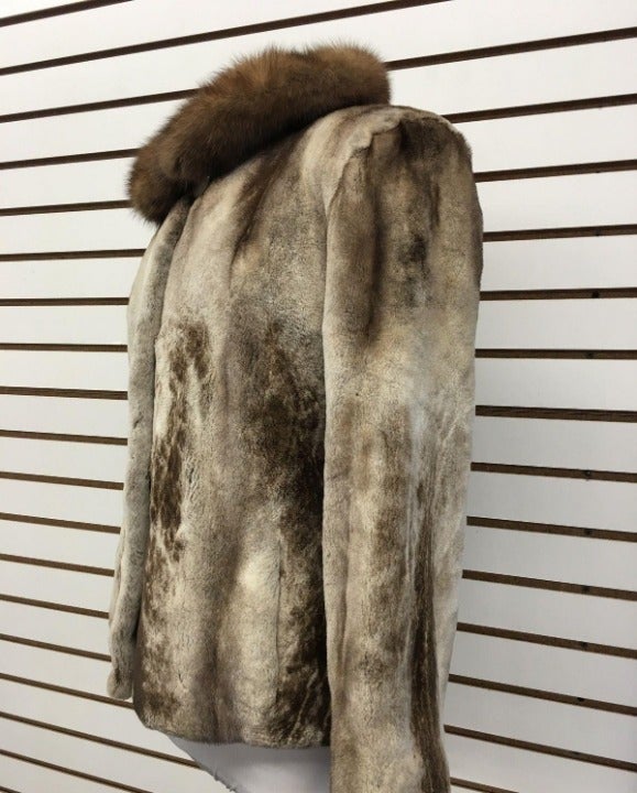 Vintage Cream/Brown Sheared Chinchilla Fur Jacket Fox Collar MINT