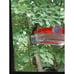 2 Pack Window Hummingbird Feeders, Strong Suction Cups Hummingbird Feeder