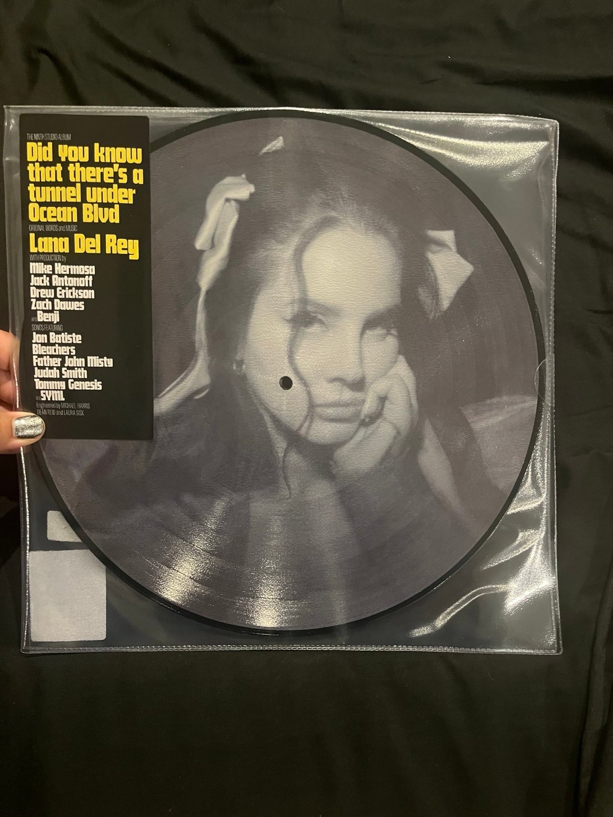 did you know theres a tunnel under ocean blvd picture disc