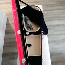 Violin Case