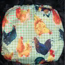 Mama koala chickens rooster
