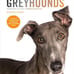 Greyhounds-AIM-1584797355