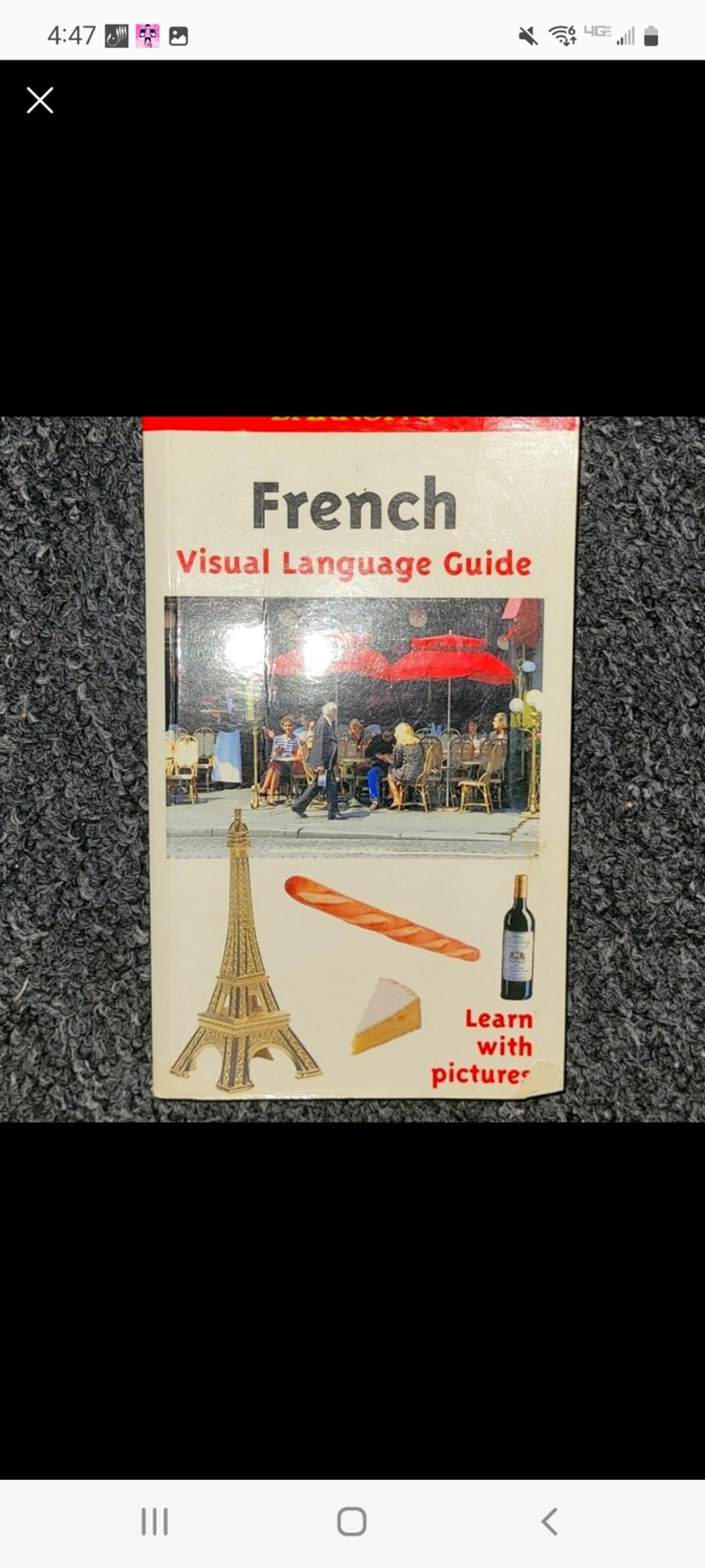 French guide for travelers