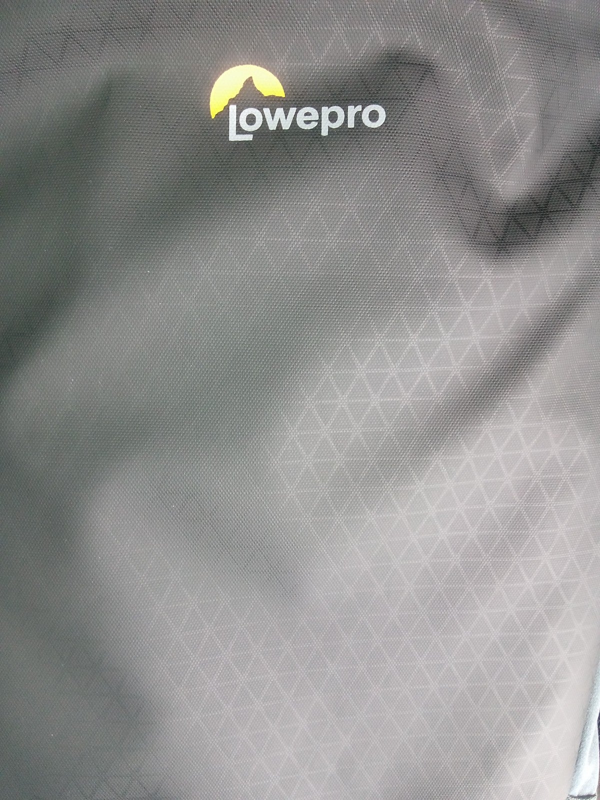 Lowepro Camera Backpack Bp300