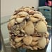 Vintage hand made Tiny Natural Ocean Sea Shells Tiny Miniature artwork basket je