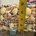 Vintage hand made Tiny Natural Ocean Sea Shells Tiny Miniature artwork basket je