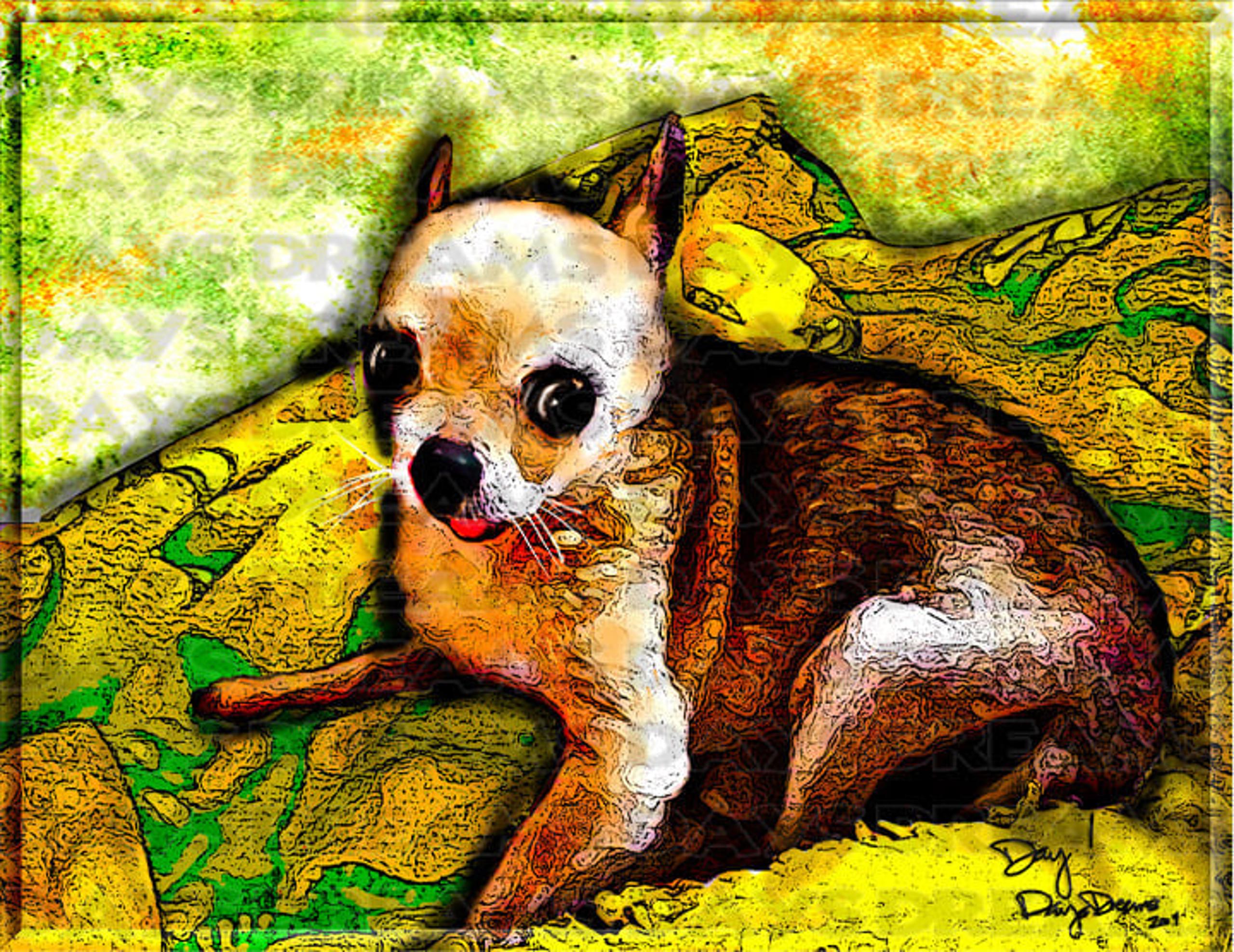 Senior Older Chihuahua Pet Portrait